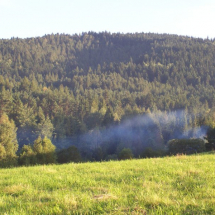 s11